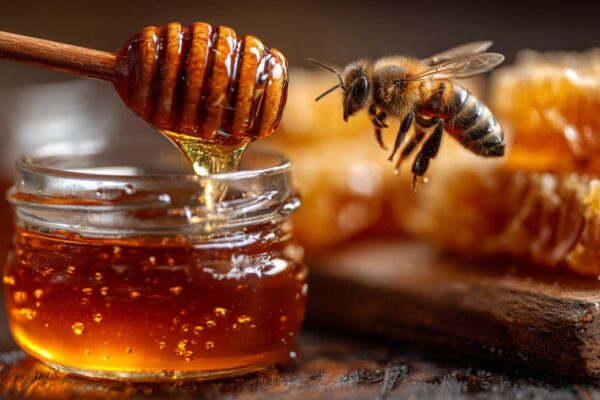 Pčela leti iznad tegle sa zlatnim medom dok se med cijedi sa drvene kašike